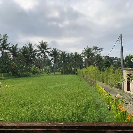 Adi Laxmi Villa Ubud Exterior photo