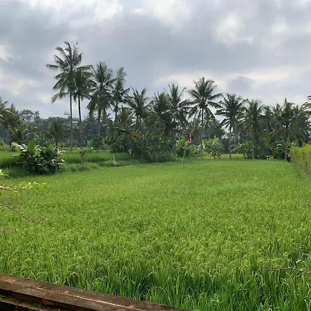 Adi Laxmi Villa Ubud Exterior photo