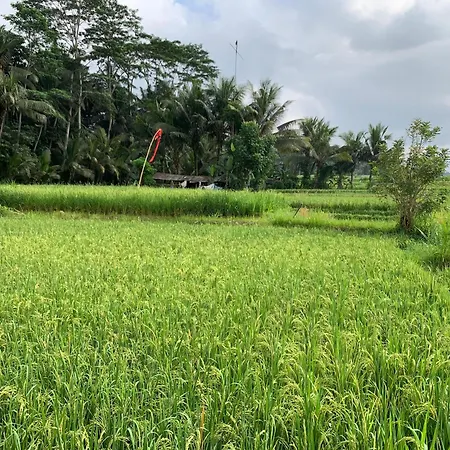 Adi Laxmi Villa Ubud Exterior photo