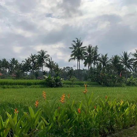 Adi Laxmi Villa Ubud Exterior photo