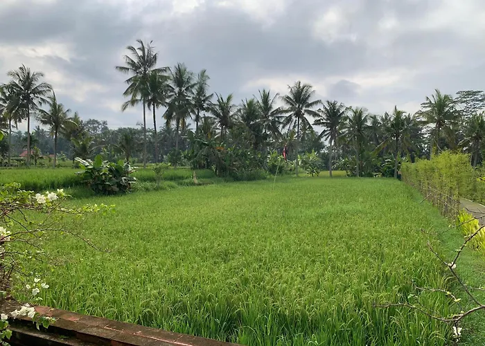 Adi Laxmi Villa Ubud