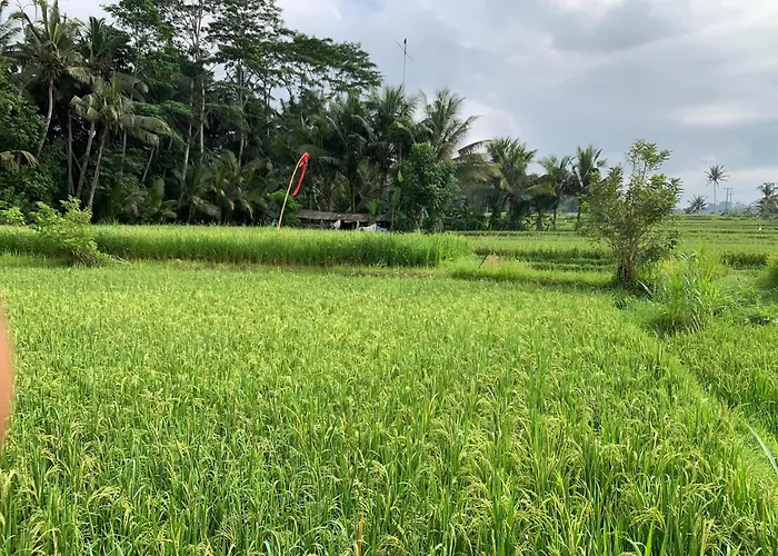 Adi Laxmi Villa Ubud