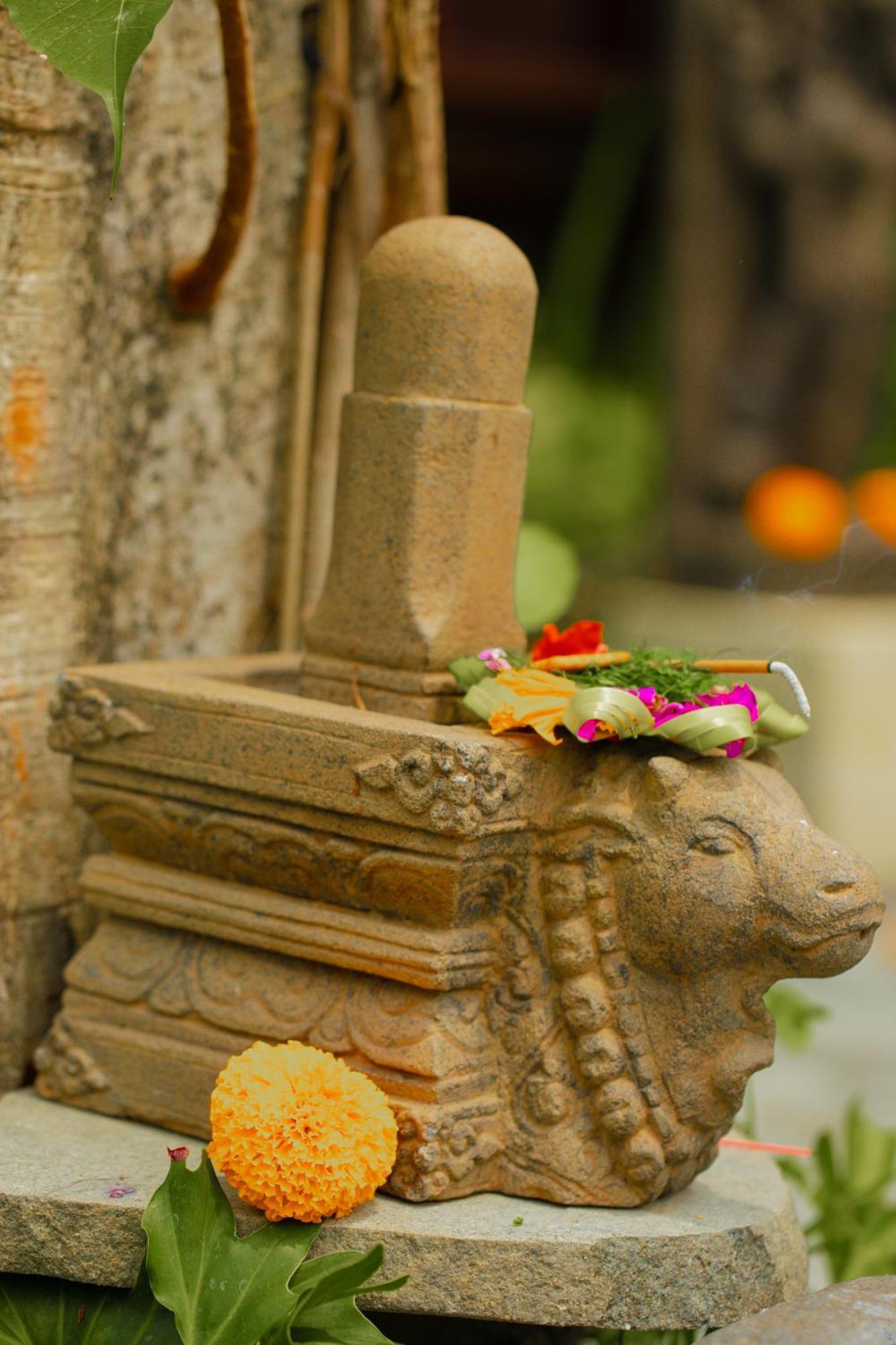 Adi Laxmi Villa